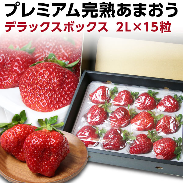 あまおう ギフト 福岡産 プレミアム大粒 完熟あまおう 400g以上×1箱 いちご 苺 農家直送 dx 産地直送 Y常