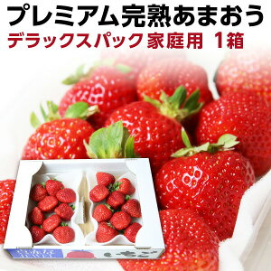 あまおう 福岡産 完熟あまおう280g以上×2パック いちご 苺 ご家庭用 農家直送 デラックスパック 1箱 産地直送 Y蔵