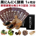 黒にんにく 酵素 ペースト 送料無料 黒にんにく酵素+野菜酵...
