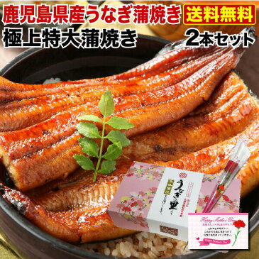 母の日 ポイント10倍 グルメ ギフト プレゼント うなぎ 蒲焼き 国産 鹿児島産 送料無料 特大蒲焼き2本セット 約200g×2 うなぎの里 ギフト（鰻　ウナギ） クール