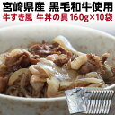 和牛丼の具 160g×10袋　国産 宮崎県産 黒毛和牛 大盛り レトルト メール便2個口配送