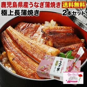 母の日　ポイント10倍 ギフト プレゼント 食べ物 うなぎ グルメ 蒲焼き 国産 鹿児島産 長蒲焼き2本セット 約110g×2 ギフトBOX特典付き 送料無料 うなぎの里 昨年3万本完売実績 クール