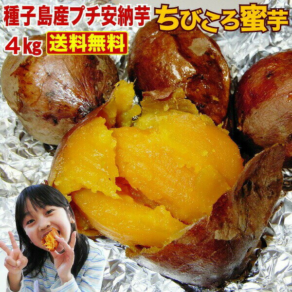 【お買い物マラソン中 300円OFF！】 予約商品 さつまいも 安納芋 訳あり あんのういも 安納いも さつまいも 生芋 鹿児島 種子島産 産地直送 プチ安納芋 (4kg x 1箱) ちびころ蜜芋4kg 小さいサイズ 予約開始 S常のサムネイル