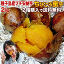 さつまいも 安納芋 訳あり あんのういも 安納いも (さつま...