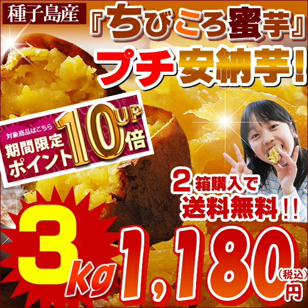 4位:『緊急開催★ポイント10倍セール！』≪通常価格3,000円⇒1,180円！...