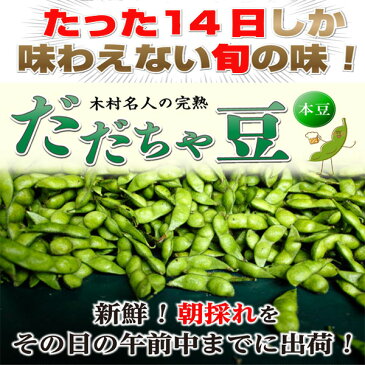 枝豆 だだちゃ豆 数量限定 幻の枝豆「白山だだちゃ豆・本豆」木村名人の完熟だだちゃ豆 本豆 2.5kg（500g×5袋）クール便で朝採れをお届け♪