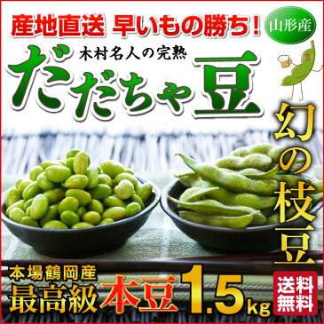 枝豆 だだちゃ豆 数量限定 幻の枝豆「白山だだちゃ豆・本豆」木村名人の完熟だだちゃ豆 本豆 1.5kg（500g×3袋）クール便で朝採れをお届け♪