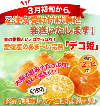 デコポン 訳あり 送料無料 5kg 春みかん 不知火 愛媛産 デコ姫 完熟 当店最安値に挑戦！