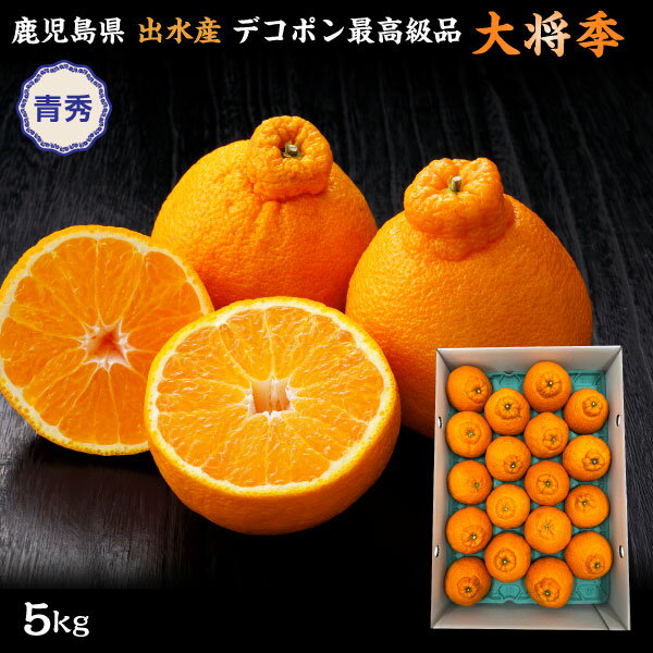 1月中旬頃順次発送 ギフト デコポン 青秀 贈答用 5kg 大将季（だいまさき） 不知火 送料無料 Y常のサムネイル