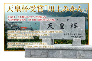 みかん 小玉 愛媛 家庭用 極早生 早生 JAにしうわ川上共選 天皇杯受賞愛媛県産　川上小玉みかん 小蜜柑 2Sサイズ 2.5kg 稀少品（ミカン）果物 フルーツ