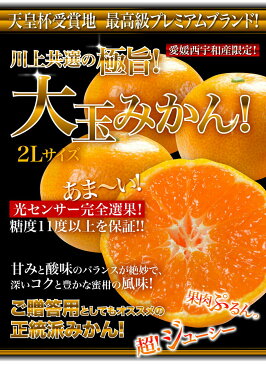 お歳暮 ギフト みかん 大玉 愛媛 早生 JAにしうわ川上共選 天皇杯受賞 愛媛県産 蜜柑 2Lサイズ×9kg （ミカン）果物 フルーツ