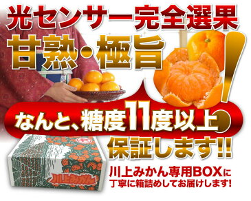 お歳暮 ギフト みかん 大玉 愛媛 早生 JAにしうわ川上共選 天皇杯受賞 愛媛県産 蜜柑 2Lサイズ×9kg （ミカン）果物 フルーツ