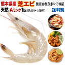 海老 冷凍 熊本県産 天然芝海老 1パック1kg(約110～140尾前後) 有頭 バラ凍結 無添加 無保水 国産 バーベキュー クール