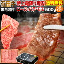 【4/30まで！2人に1人が当選★エントリーで最大100％ポイントバック】 ギフト 食べ物 肉 宮崎県産 有田牛 最高級品質 黒毛和牛 特上高級霜降り焼肉セット 500g ロース バラ モモ 冷凍 化粧箱入 送料無料 Y凍