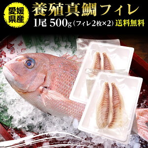 鯛 刺身 フィレ マダイ 真鯛 フィレ 1尾(皮無し)2枚×2　500g 送料無料 海鮮 魚介 冷凍 真空パック 応援セール 冷凍 産地直送 Y凍