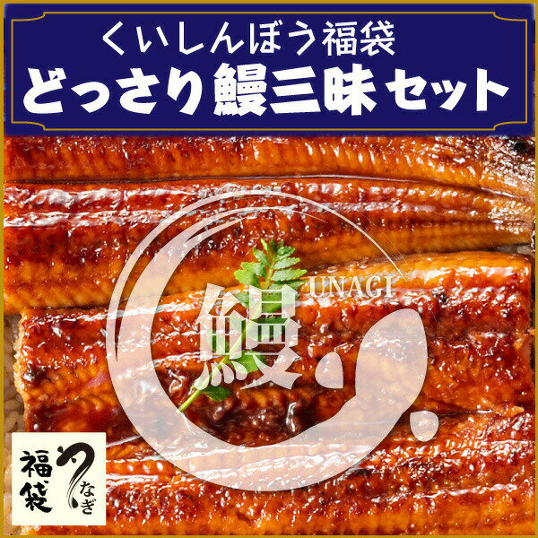 福袋 どっさり鰻三昧セットうなぎ うなぎ祭り 鹿児島産 国産 極上鰻 うなぎめし 極上長蒲焼 うなぎおこわ グルメ福袋 ウナギ クール