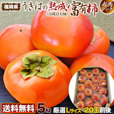 柿 かき 熟成富有柿 5kg Lサイズ 20玉前後 赤秀 ポイント5倍 送料無料 福岡県産 最高級クラス 冷蔵熟成 ギフト 内祝 贈り物