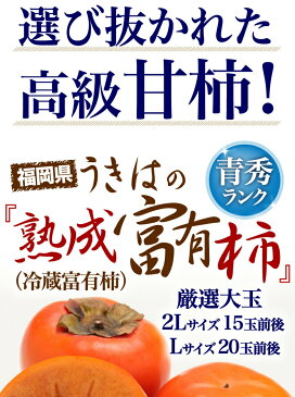 柿 かき 熟成富有柿 5kg Lサイズ 20玉前後 青秀 送料無料 福岡県産 冷蔵熟成 ギフト 内祝 贈り物