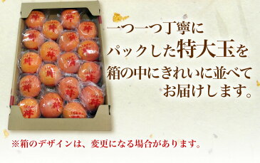 柿 かき 熟成富有柿 5kg Lサイズ 20玉前後 赤秀 ポイント5倍 送料無料 福岡県産 最高級クラス 冷蔵熟成 ギフト 内祝 贈り物