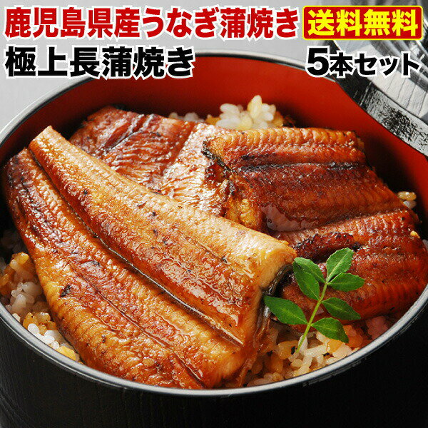 蒲焼き 御歳暮 お歳暮 送料無料 ギフト うなぎ 蒲焼き 国産 鹿児島産 長蒲焼 5本 うなぎの里 海鮮 お誕生日 内祝い プレゼント（鰻　ウナギ） クール