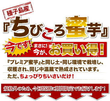 さつまいも 安納芋 訳あり あんのういも 安納いも (さつまいも) 生芋 鹿児島 種子島産 産地直送 プチ安納芋 2kg 2箱ご購入がお得 ちびころ蜜芋2kg 小さいサイズ 予約開始