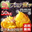 安納芋 (さつまいも) 生芋 まとめ買い割引 業務用 送料無料 種子島産 特Aプレミア蜜芋 50kg
