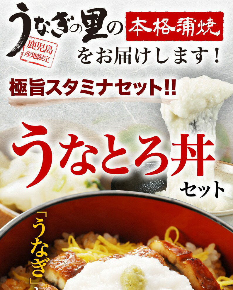 ギフト プレゼント うなぎ 蒲焼き 国内産 送料無料 鹿児島産 ひつまぶし風 うなとろ 海鮮 きざみ蒲焼き2食 + とろろ2食 クール