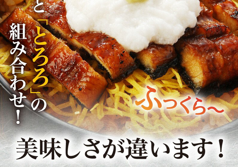 ギフト プレゼント うなぎ 蒲焼き 国内産 送料無料 鹿児島産 ひつまぶし風 うなとろ 海鮮 きざみ蒲焼き2食 + とろろ2食 クール