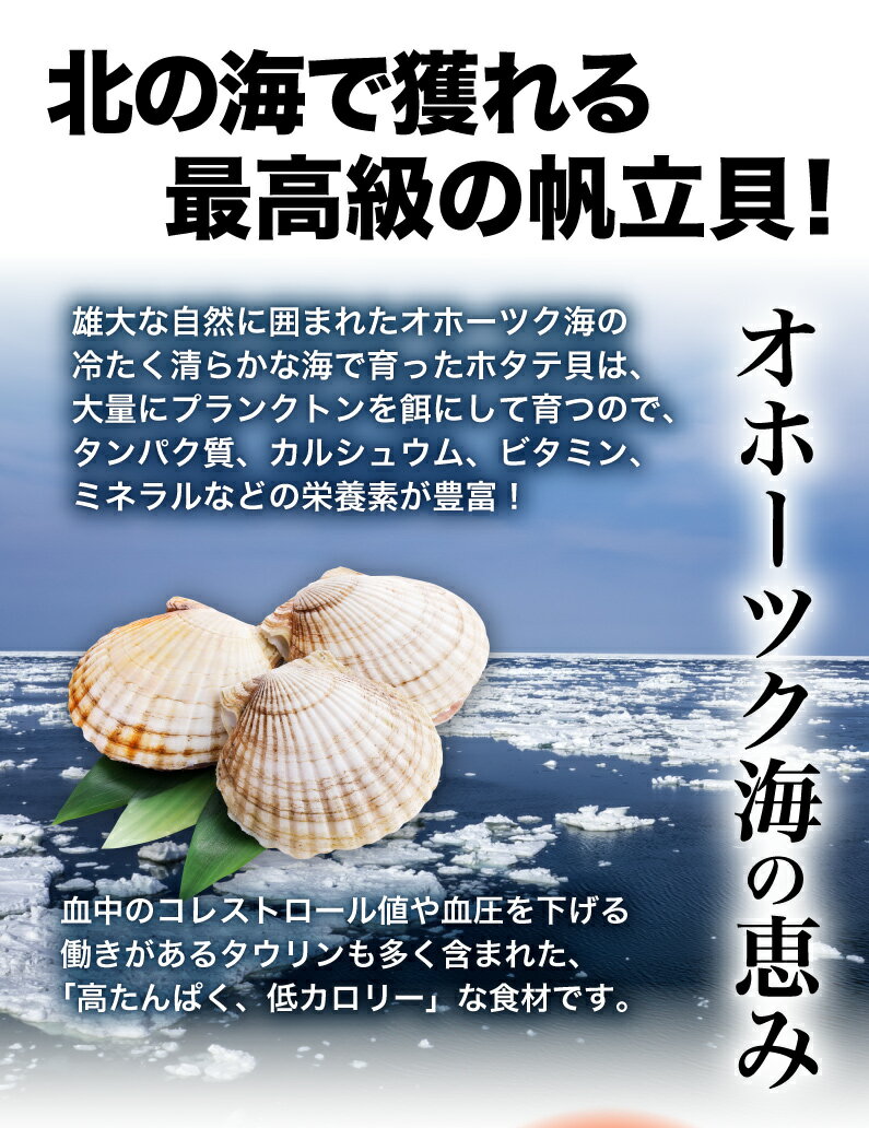 敬老の日 ギフト 生ホタテ貝柱 お刺身用 北海道オホーツク海産 ご贈答向け 500g前後 ほたて 帆立 海鮮丼 貝柱 内祝い 海鮮 魚介 プレゼント BBQ 送料無料 産地直送　Y凍