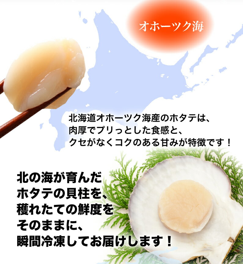 敬老の日 ギフト 生ホタテ貝柱 お刺身用 北海道オホーツク海産 ご贈答向け 500g前後 ほたて 帆立 海鮮丼 貝柱 内祝い 海鮮 魚介 プレゼント BBQ 送料無料 産地直送　Y凍