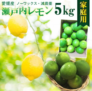 レモン 国産 愛媛 瀬戸内レモンご家庭用 5kg(42玉前後) 産地直送 ノーワックス・減農薬