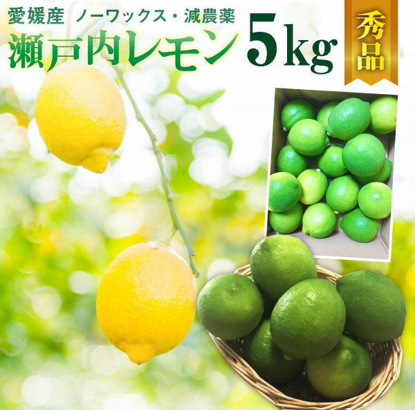 レモン 愛媛 瀬戸内レモン 5kg(42玉前後) 産地直送 ノーワックス・減農薬 秀品 J常