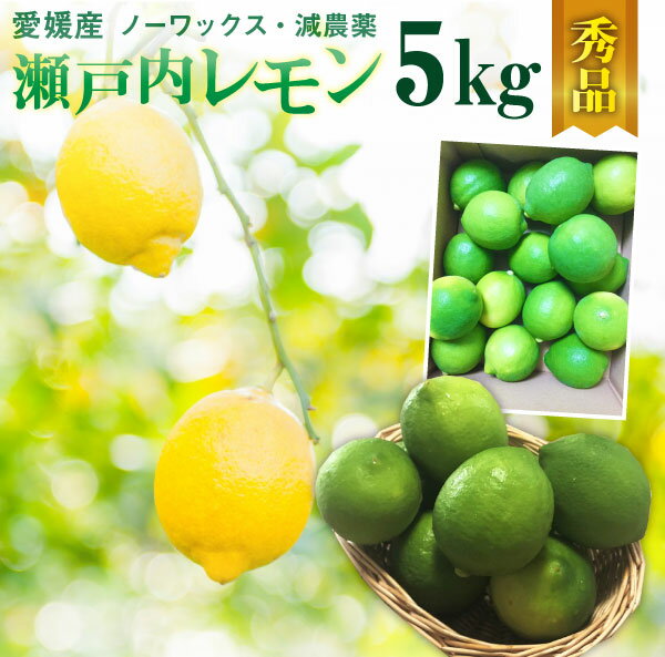 レモン 愛媛 瀬戸内レモン 5kg(42玉前後) 産地直送 ノーワックス・減農薬 秀品 J常のサムネイル