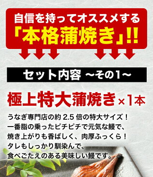 母の日 ポイント5倍 グルメ ギフト うなぎ 国産 鹿児島産 ブランド鰻 特大・カット・きざみ蒲焼き 3種蒲焼セット 送料無料 グルメ ウナギ 国産 海鮮 贈り物 誕生日 お祝い 魚介 プレゼント クール