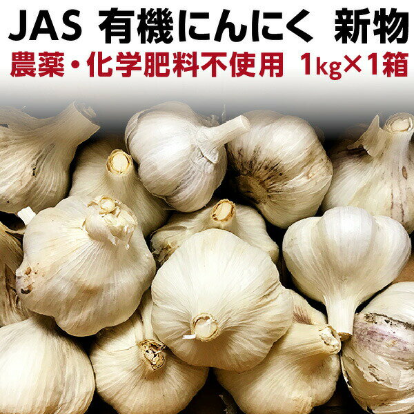 にんにく 国産 1kg 送料無料 有機 オーガニック 1キロ 希少 新物 産地直送 Y常のサムネイル