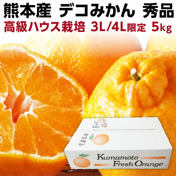 お歳暮 ギフト デコポン デコみかん 3L・4L×5kg 熊本 秀品 デコポンと同等 15〜18玉 送料無料 甘い 贈答用 でこぽん 産地直送 Y常