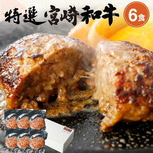 ギフト 手ごねハンバーグ 黒毛和牛100% 送料無料 ギフト 150g×6食セット 宮崎県産 送料無料 真空パック 小分け 贈答品 クール