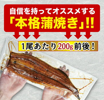 父の日 ギフト プレゼント グルメ 早得クーポン15％OFF うなぎ 蒲焼き 国産 鹿児島産 特大蒲焼き4本セット 約200g×4 ギフトBOX特典付き 送料無料 うなぎの里 ギフト クール