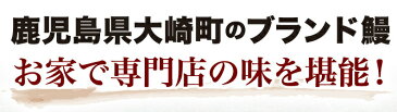 父の日 ギフト プレゼント グルメ 早得クーポン15％OFF うなぎ 蒲焼き 国産 鹿児島産 特大蒲焼き3本セット 約200g×3 ギフトBOX特典付き 送料無料 うなぎの里 クール