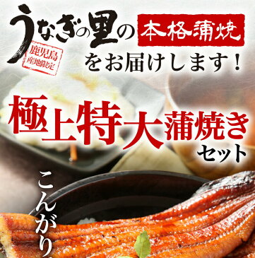 父の日 ギフト プレゼント グルメ 早得クーポン15％OFF うなぎ 蒲焼き 国産 鹿児島産 特大蒲焼き3本セット 約200g×3 ギフトBOX特典付き 送料無料 うなぎの里 クール