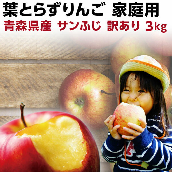 りんご 青森 葉とらず サンふじ ご家庭用 約3kg(8～14玉) ちょっぴり 訳あり 送料無料 世界が認めたリンゴ 産地直送 Y常