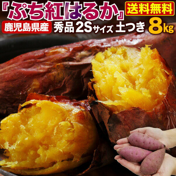 予約商品 11月初旬以降順次発送 さつまいも 鹿児島県産 ぷち紅はるか 8kg サツマイモ 生芋 小さいサイズ プチ 土つき 産地直送 送料無料 べにはるか S常のサムネイル