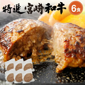 ギフト 手ごねハンバーグ 黒毛和牛100% 送料無料 ギフト 150g×6食セット 宮崎県産 送料無料 真空パック 小分け 贈答品 クール