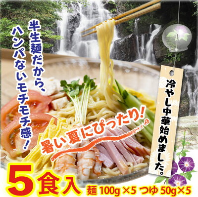 くいしんぼうグルメ便 冷やし中華 博多 夏限定 冷たい 5食セット 半生麺 特製レモンつゆ メール便 送料無料 画像3