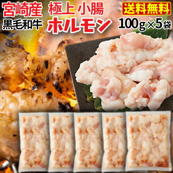 ホルモン 牛 博多 和牛小腸 九州産黒毛和牛 コプチャン モツ鍋 焼肉 炭火焼き クール 産地直送のサムネイル