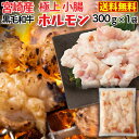 激安 感謝価格 ホルモン 牛 博多 和牛小腸 九州産黒毛和牛 300g コプチャン モツ鍋 焼肉 炭火焼き クール 産地直送