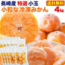 小粒な 冷凍みかん 特選 4kg 長崎県産 西海みかん 送料