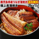 父の日 うなぎ グルメ 食べ物 蒲焼き ポイント5倍 国産 鹿児島産 長蒲焼き2本セット 約110g×2 うなぎの里 ギフト 昨年3万本完売実績 クール