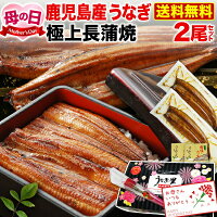 ＼4/28まで！超早得クーポン10％OFF ／ 母の日 プレゼント 母の日ギフト うなぎ 蒲...