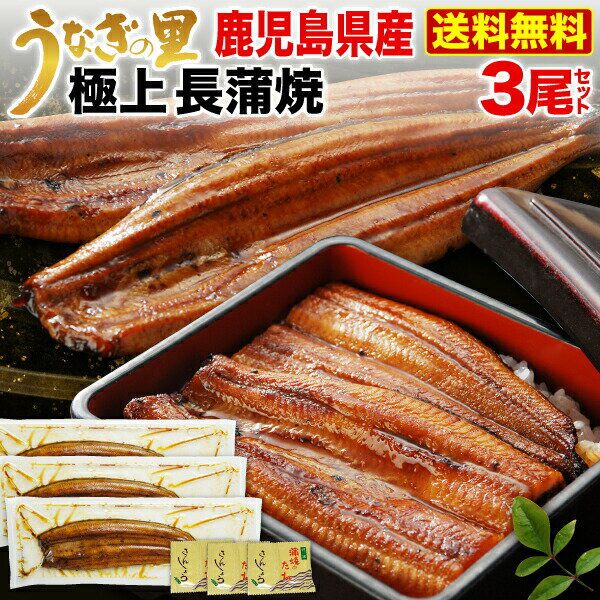 ギフト うなぎ 蒲焼き 国内産 長蒲焼き3本 鹿児島産 ブランド鰻 送料無料 海鮮 ギフト お誕生日 内祝い プレゼント タレ山椒 （鰻・ウナギ） クールのサムネイル